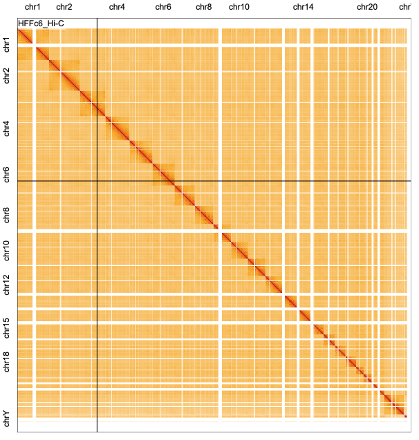 rect_matrix_example