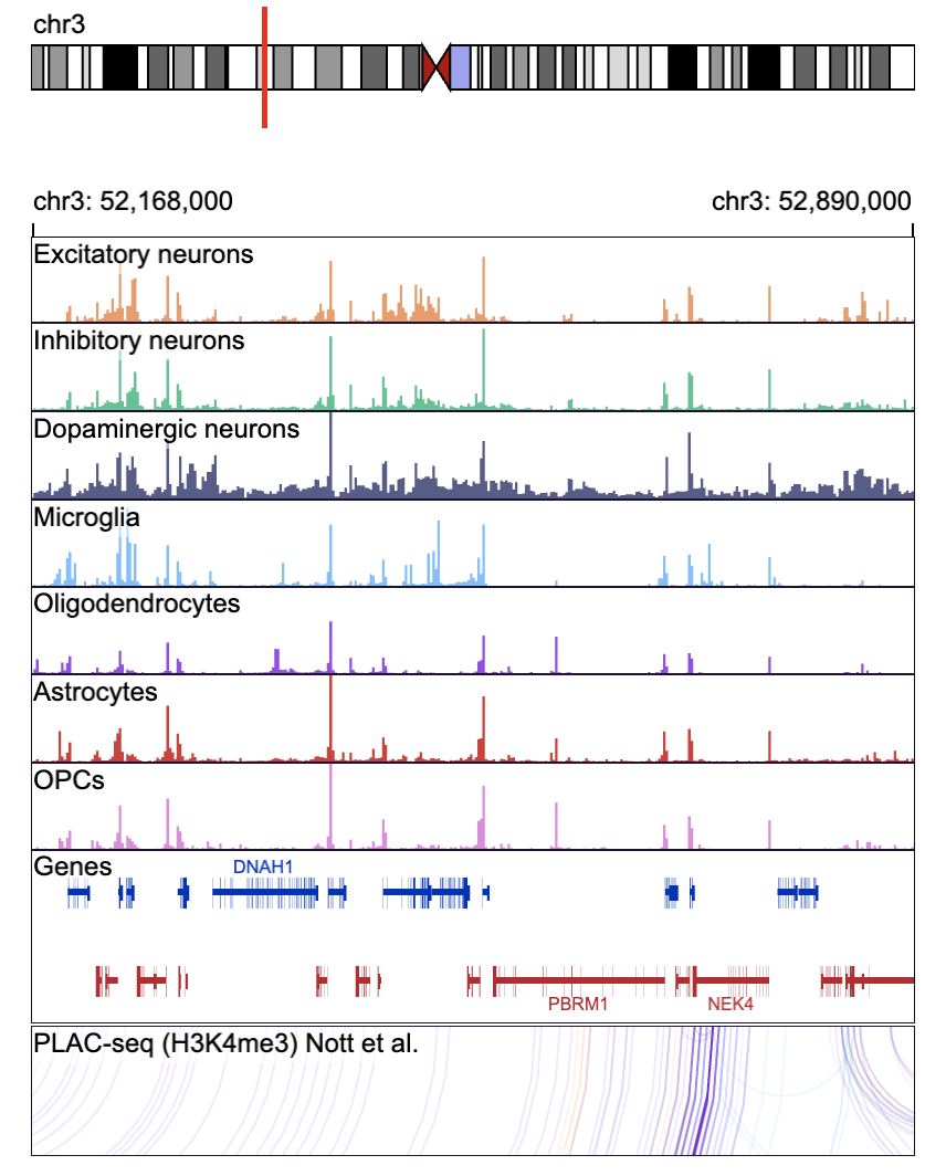 Single-cell Epigenomic Analysis