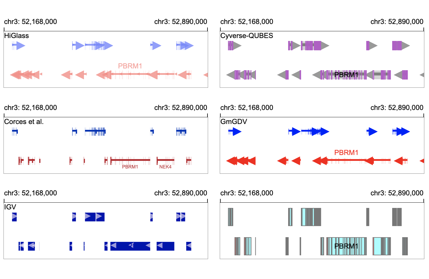 Gene Annotations